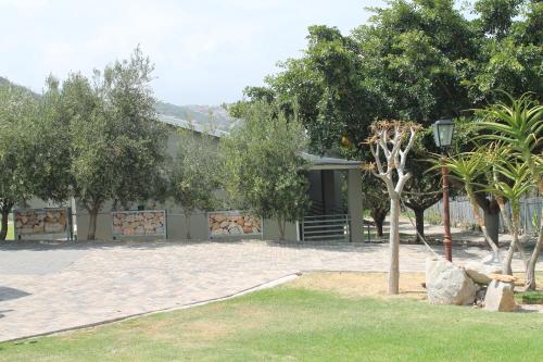 aloe ridge