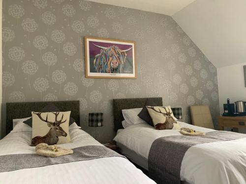 morlea bed and breakfast