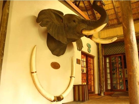 pongola country lodge