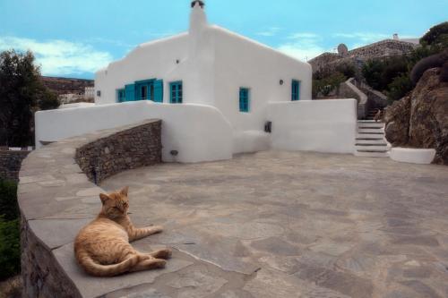 naxos