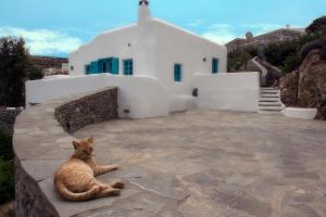 naxos
