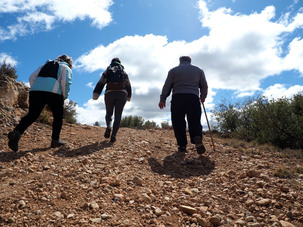 monasterio el olivar
