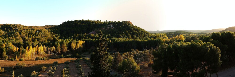 monasterio el olivar