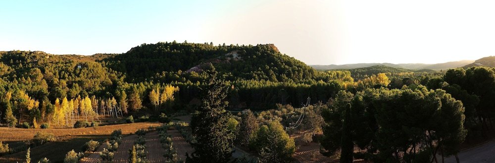 monasterio el olivar