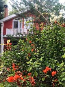 sweet home river hotel