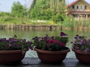 sweet home river hotel