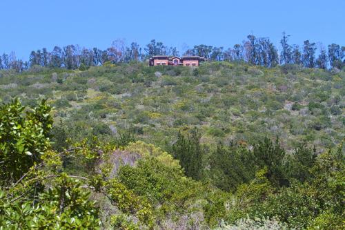 sedgefield
