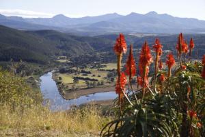 sedgefield
