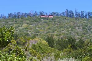 sedgefield