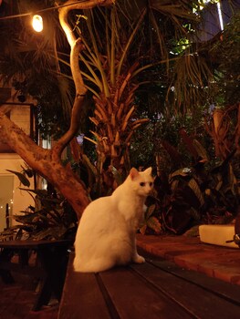 lagoa nomade hostel