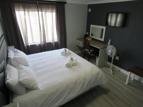 ngandu at sea luxury accommodation