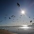 costa de caparica
