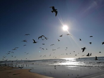 costa de caparica