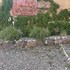 guanajuato