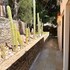 guanajuato