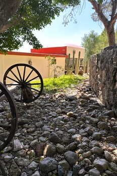 guanajuato