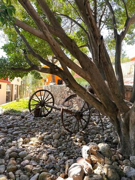 guanajuato