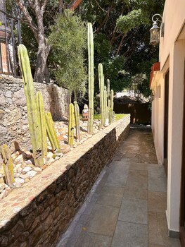 guanajuato
