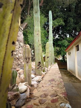 guanajuato