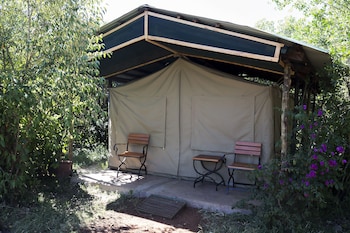 the mara big five camp