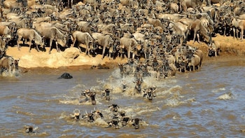 the mara big five camp