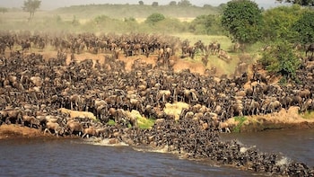the mara big five camp