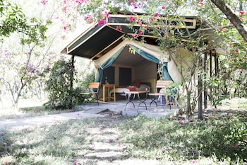 the mara big five camp