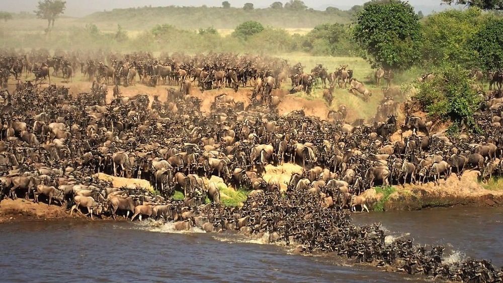 the mara big five camp