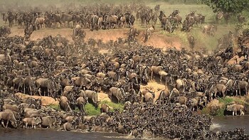 the mara big five camp