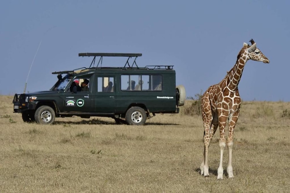 the mara big five camp