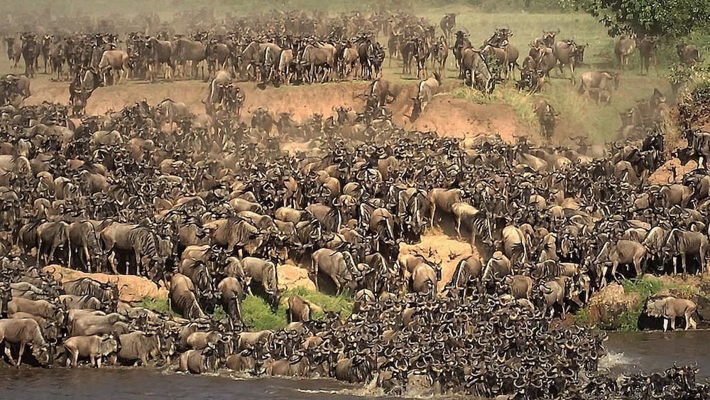 the mara big five camp