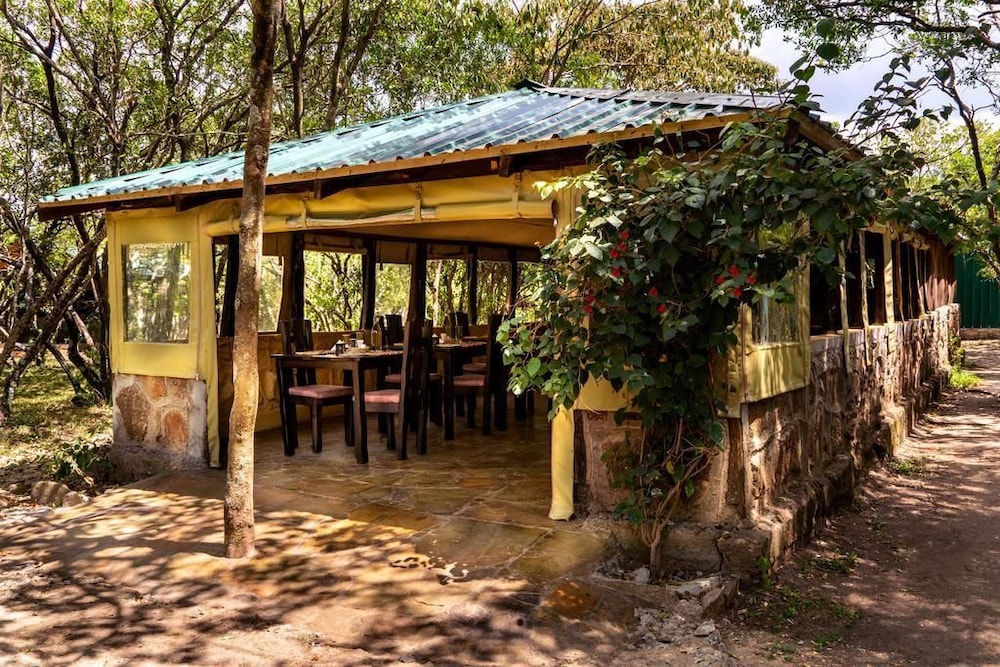 the mara big five camp