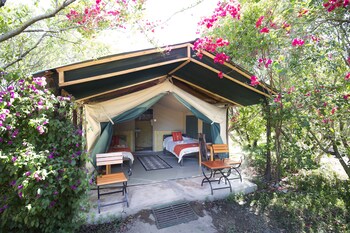 the mara big five camp