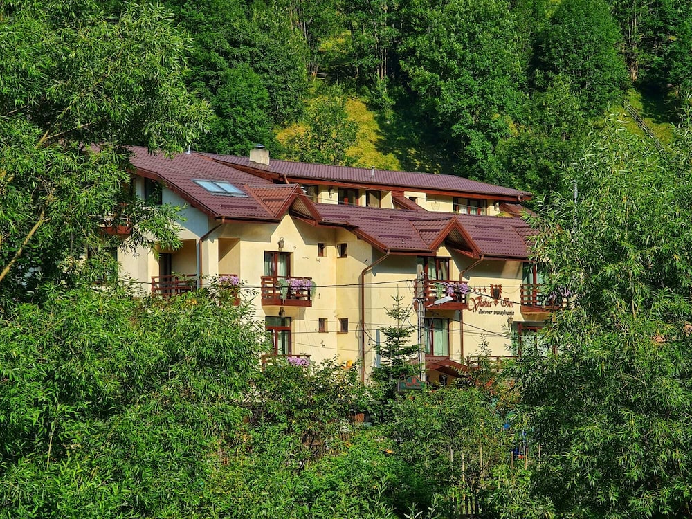 pensiunea vlahia inn