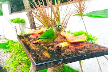 velinn pousada sol nascente