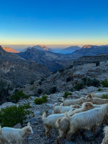 the suwgra heritage inn