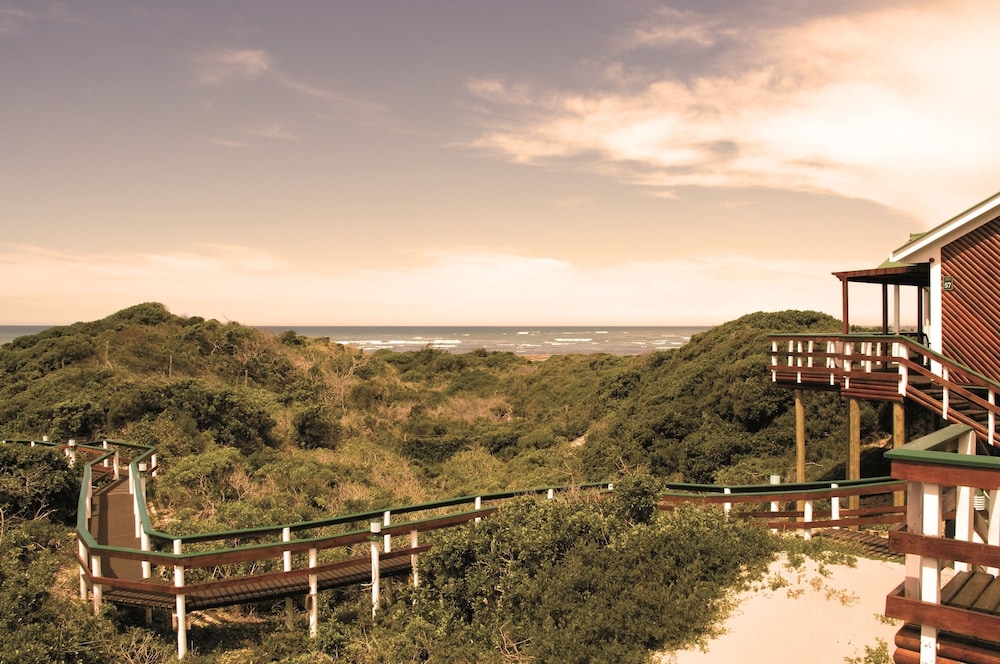 gqeberha port elizabeth