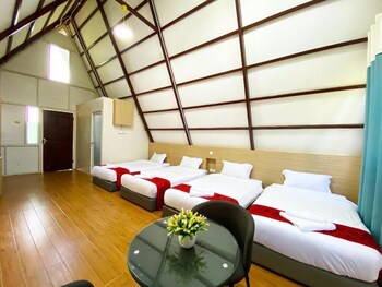 dreamland beach holiday