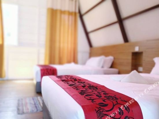 dreamland beach holiday