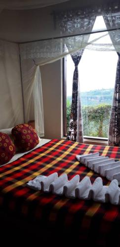 rafiki lodge sipi