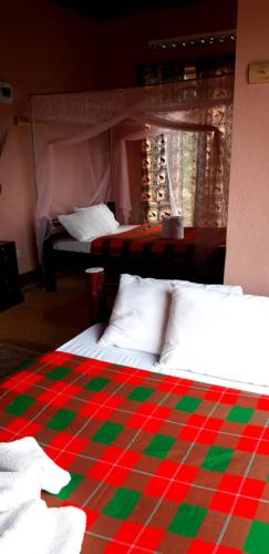rafiki lodge sipi
