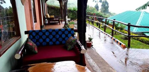 rafiki lodge sipi