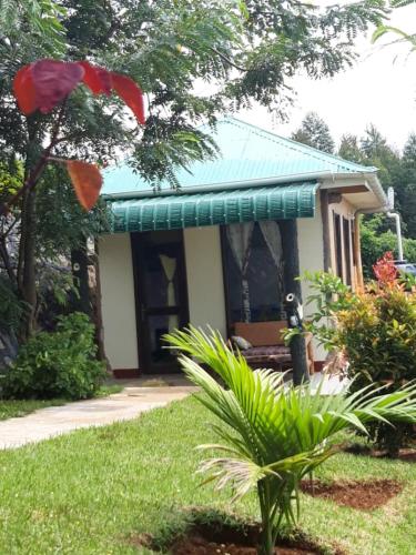 rafiki lodge sipi