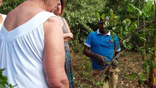 rafiki lodge sipi