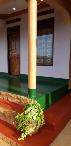 rafiki lodge sipi
