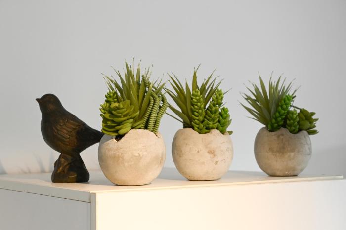 crows nest qld tourist park