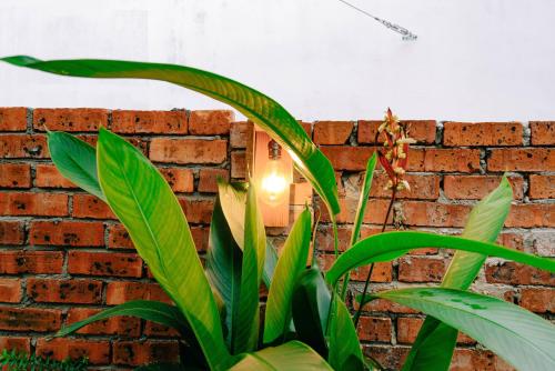 rembulan langkawi guesthouse