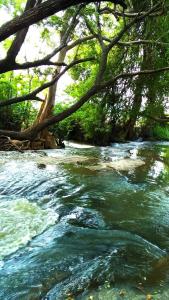 stream view family resort
