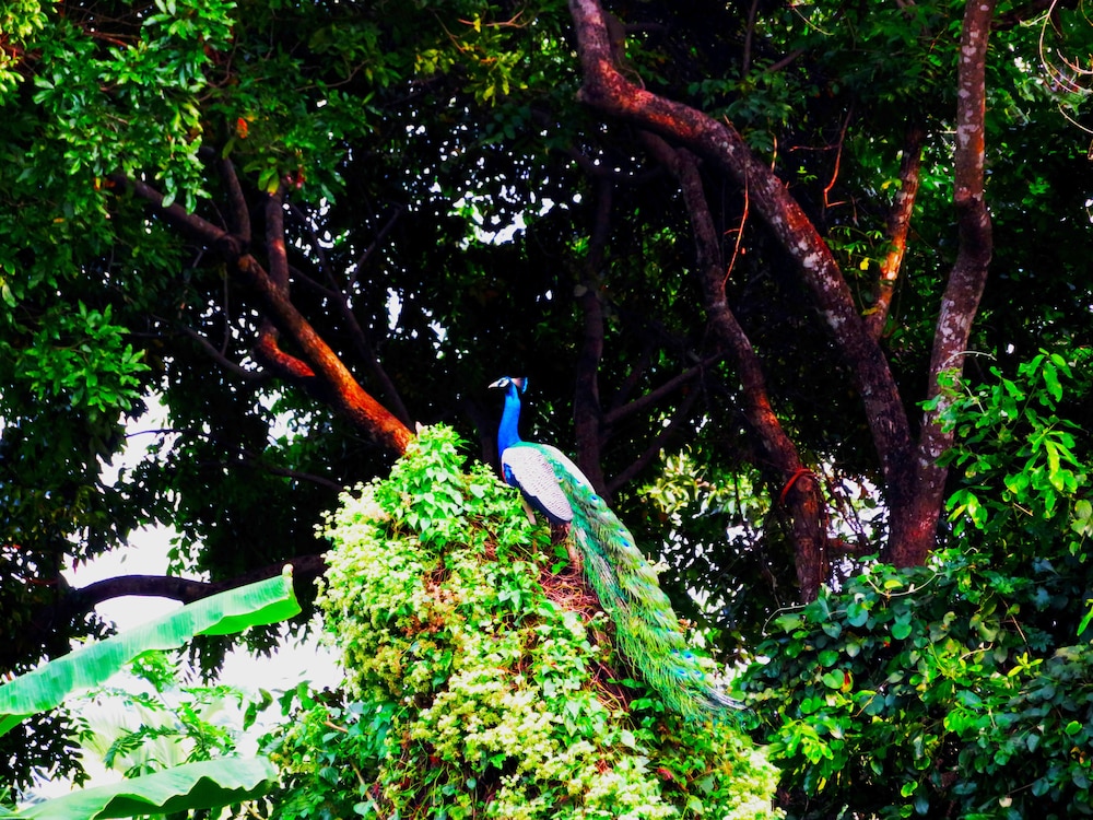 stream view family resort