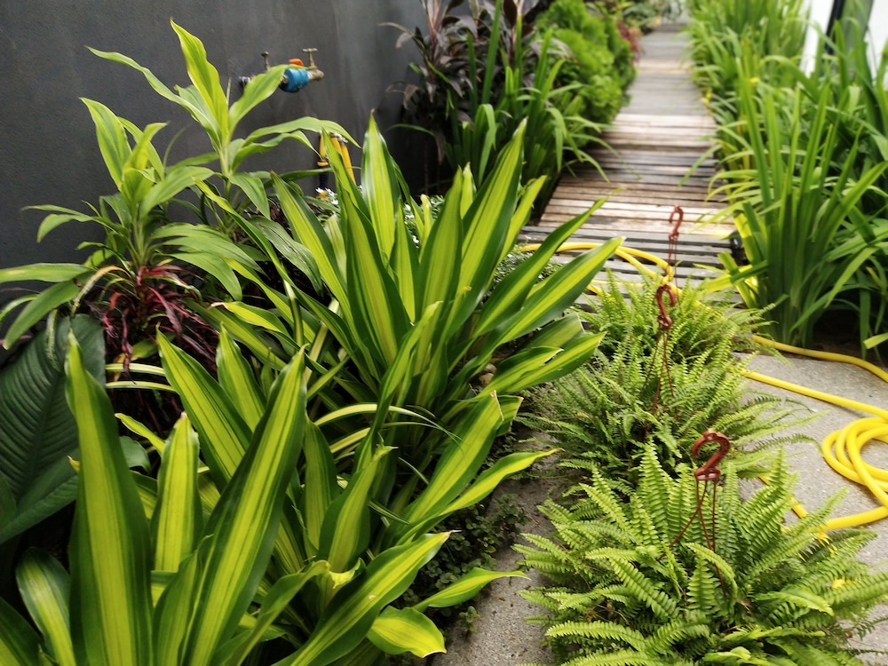 beds in garden hostel sdn bhd